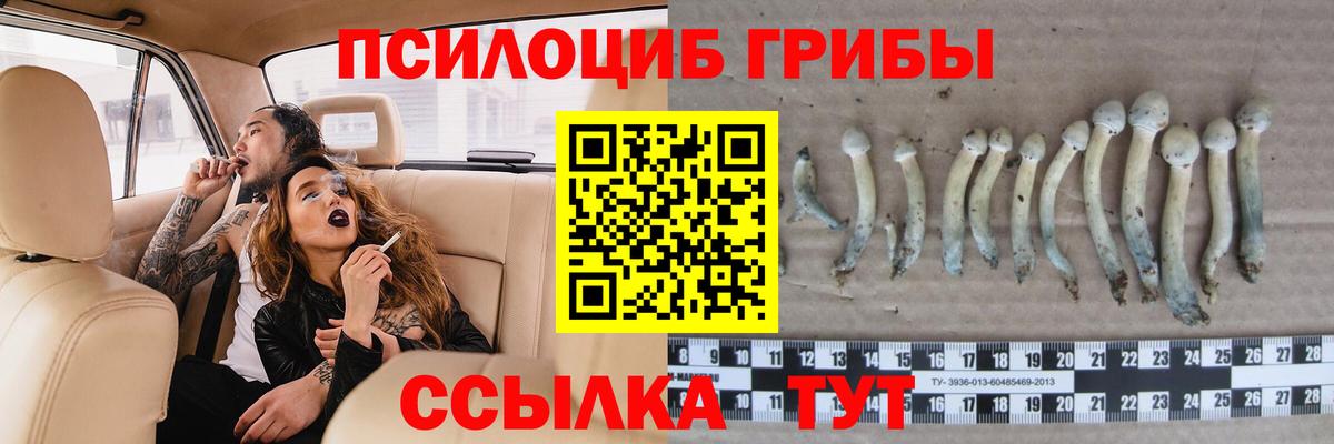 Новоуральск  Псилоцибиновые грибы GOLDEN TEACHER  Вход с VPN 